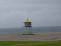 Lifeguards. No sign of pammie or dave.