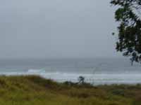 Surf still up