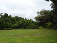 More of the park