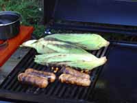 Sweetcorn not catching light.