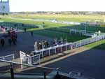 Bookies