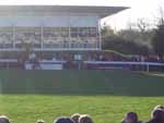 Horse before the race